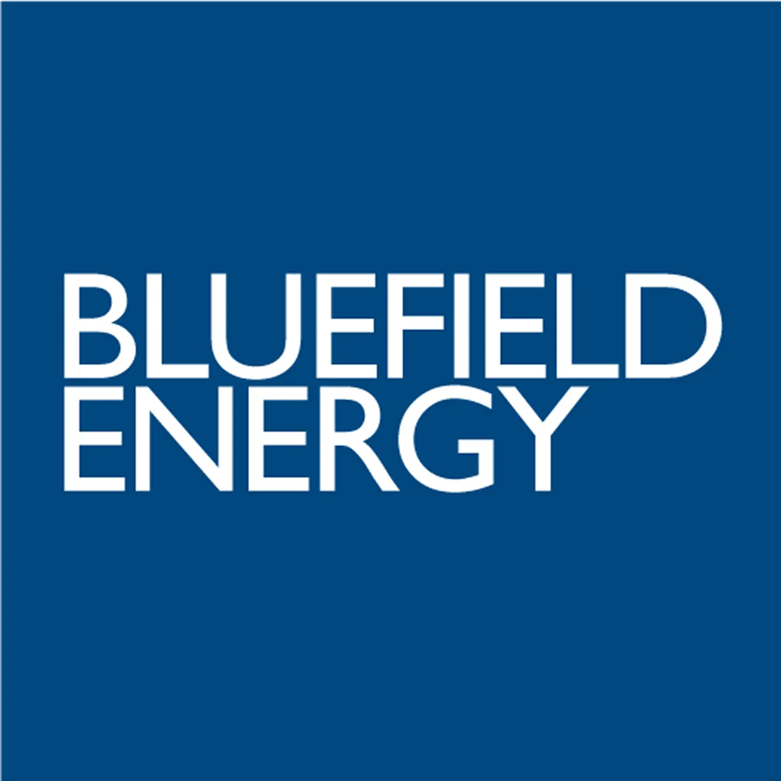 Bluefield Energy株式会社